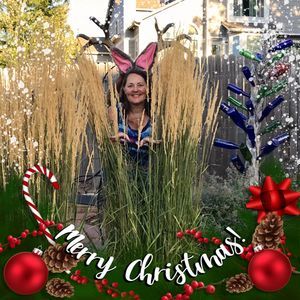 Meet your Posher, Janet